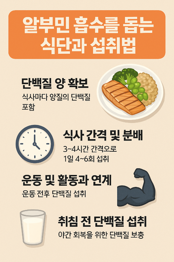 알부민 흡수를 돕는 식단과 섭취법
