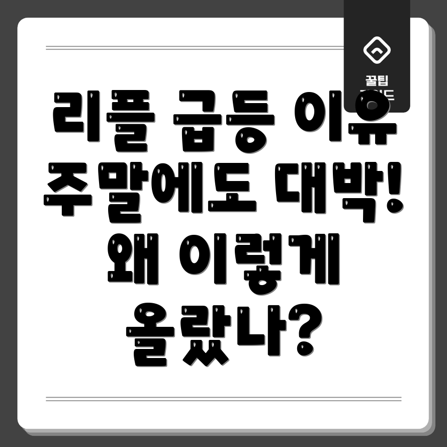 리플 급등