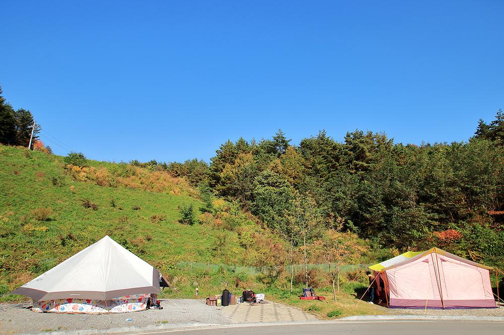 강원도 하이원추추파크 자동차야영장 소개