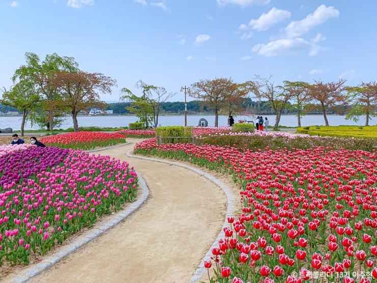 경포플라워가든