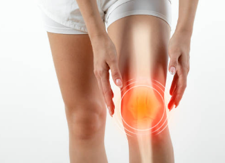 관절 연골 보호