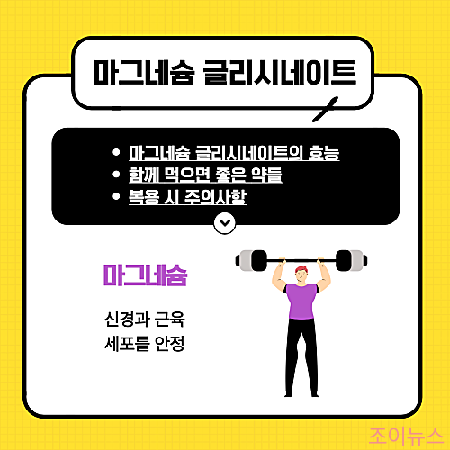 마그네슘 글리시네이트 효능과 복용팁