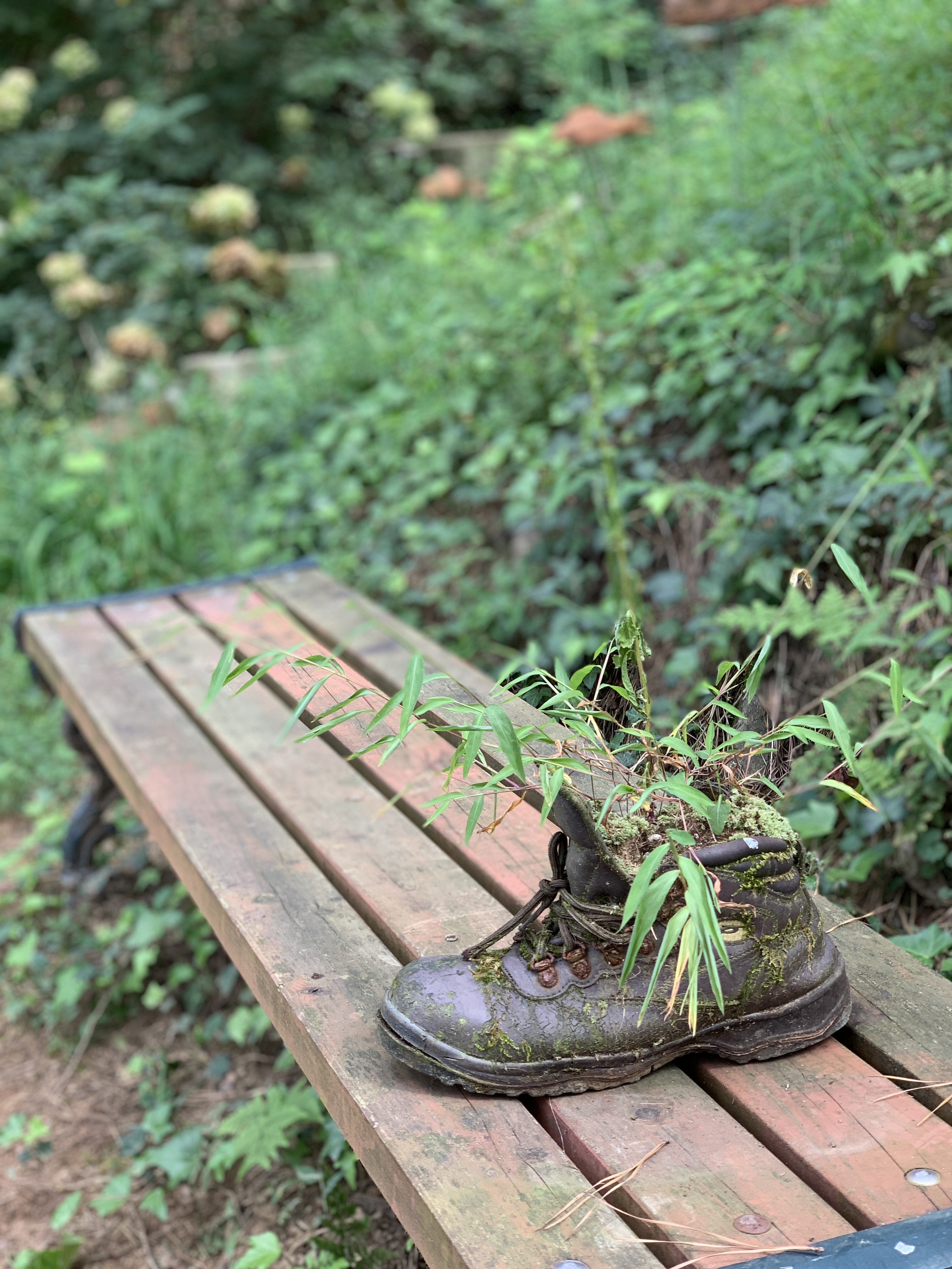 화분이 된 헌신