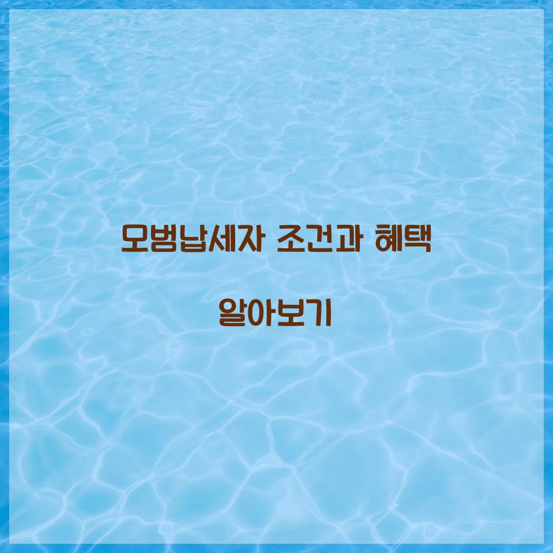 모범납세자 조건