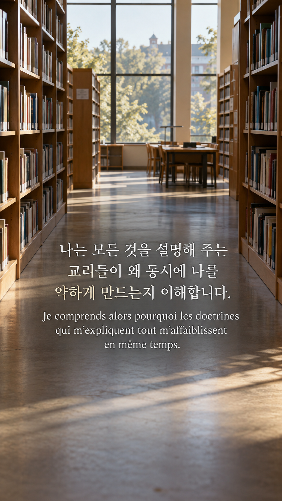 모든 답을 준다는 설명 경계하기 &mdash; 자연광이 들어오는 빈 도서관 서가