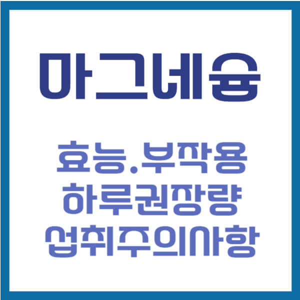 마그네슘 하루 권장량 썸네일