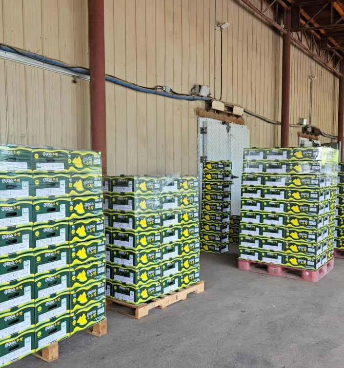 극한직업 고창 수박