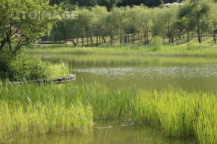도심 속 미세 기후: 같은 도시 다른 날씨의 비밀