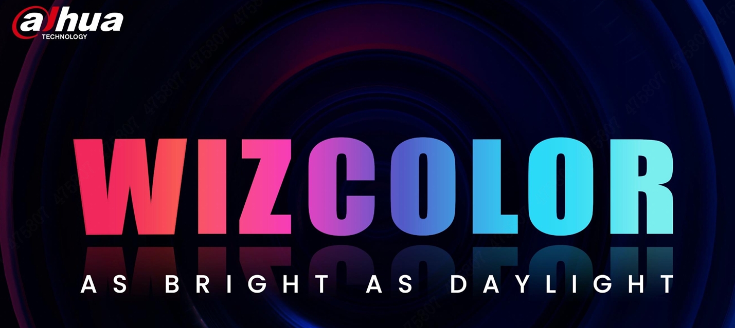 다후아 WizColor