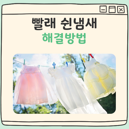 빨래 쉰냄새 해결방법 대표 이미지