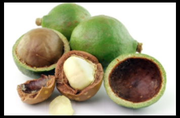 타마누 오일 효능