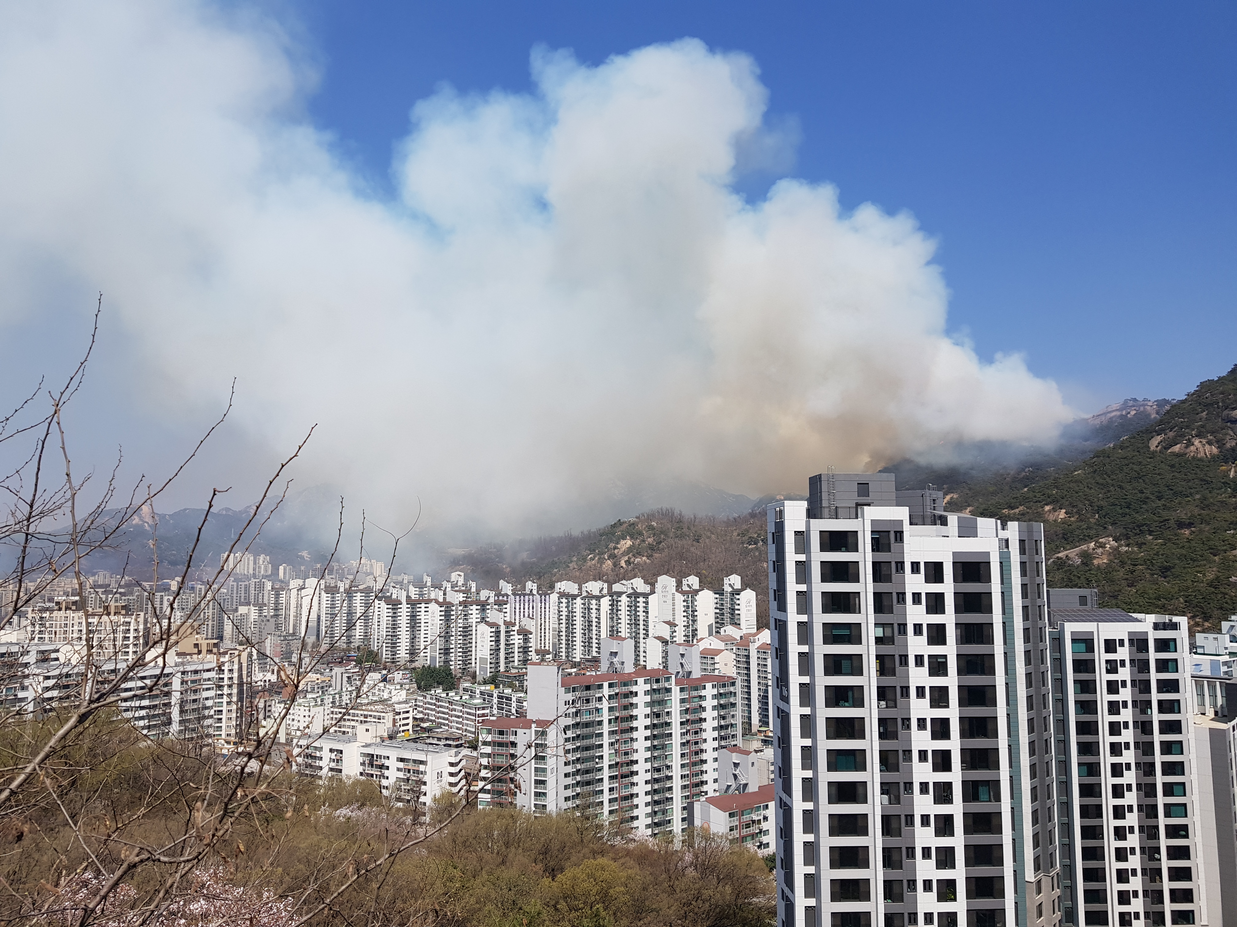 인왕산-산불