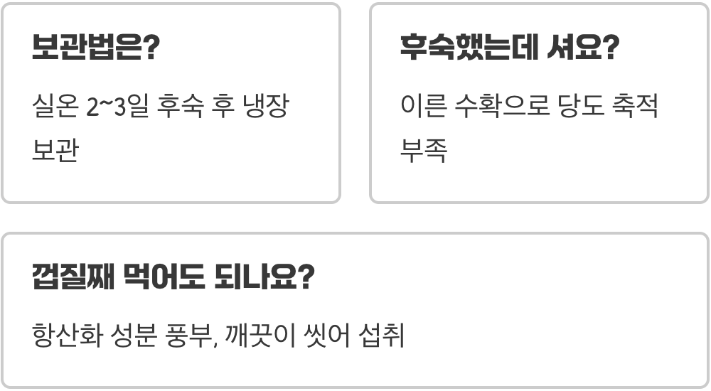 새콤달콤 끝판왕, 맛있는 가을 자두 '추희' 고르는 꿀팁 5가지
