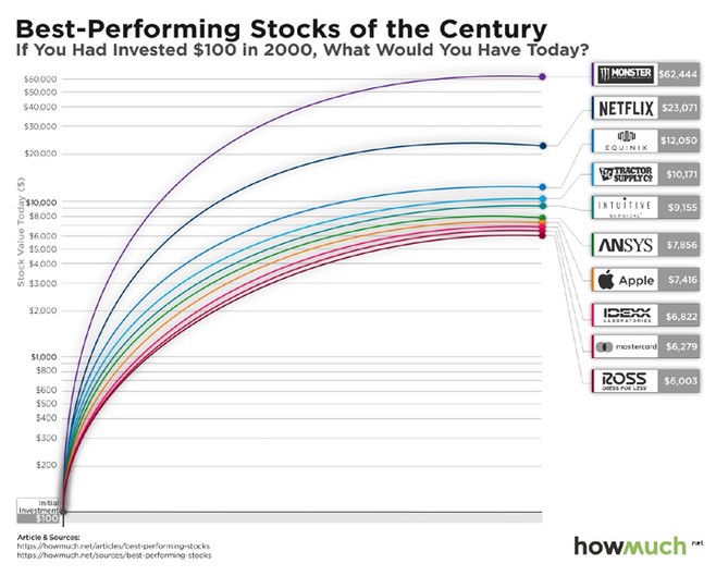 몬스터 주가 상승율
