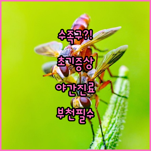 부천 오정구 수족구 초기 증상부터 야..