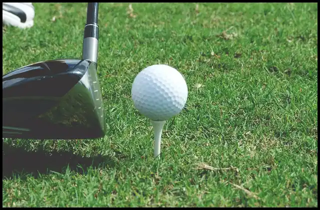 파크골프채 가격 추천 (혼마, 피닉스, 미즈노)