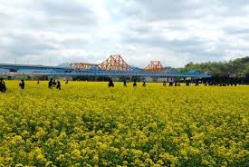 제 19 회 창녕낙동강유채 축제 기본일정과 프로그램 손태진 반가희 김유선 박혜신 하이랑 송자영 출연