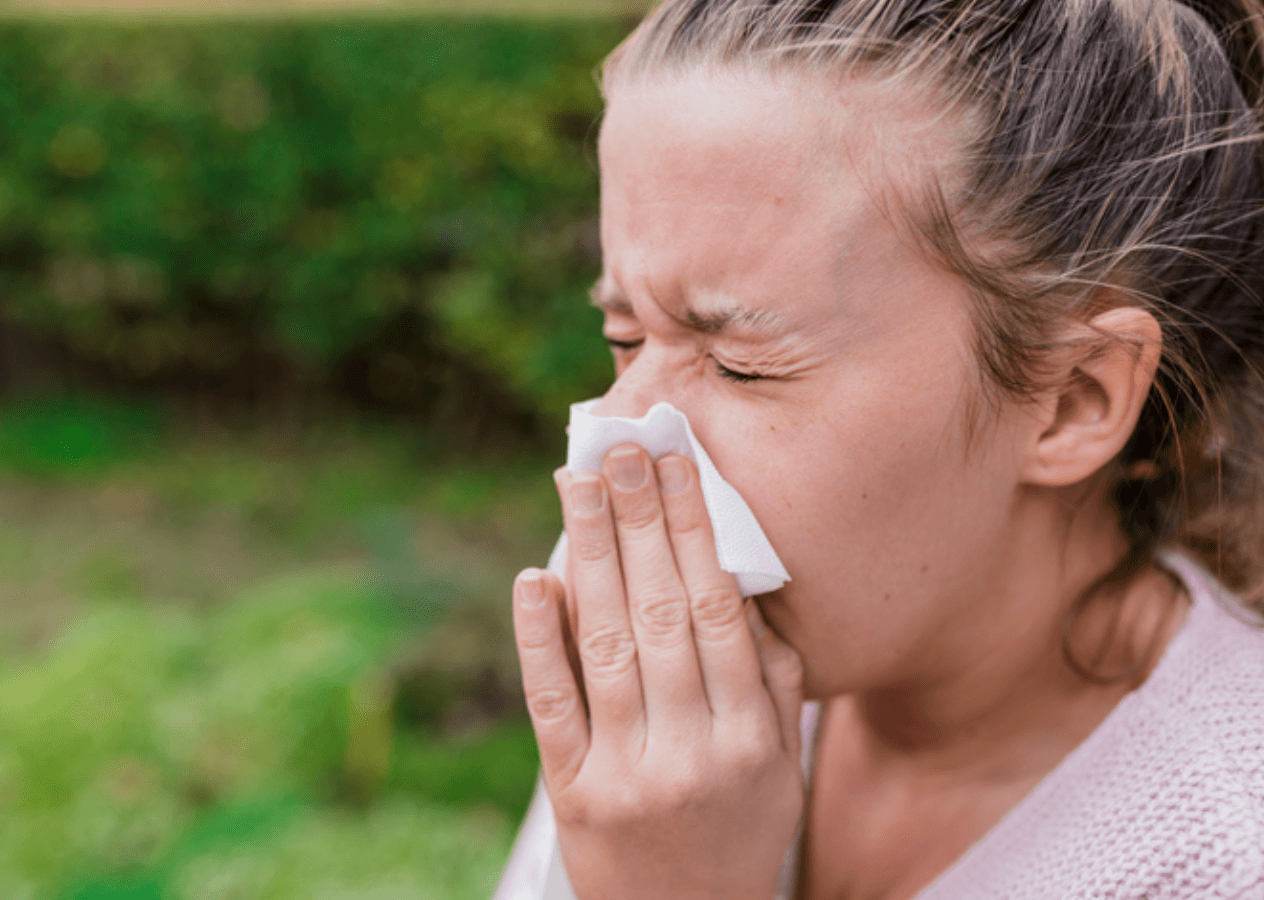꽃가루 알레르기 비염