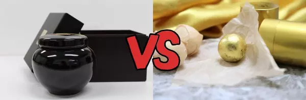 경옥고 공진단 사진