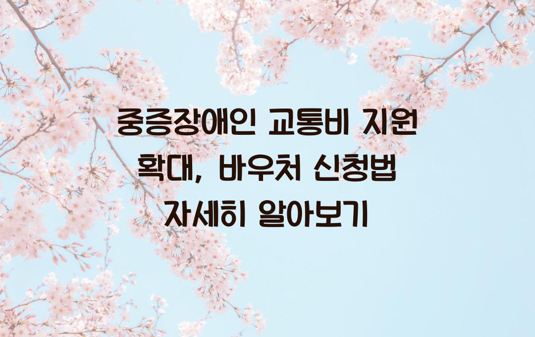 중증장애인 교통비 지원 확대, 특별교통수단 및 바우처 신청법