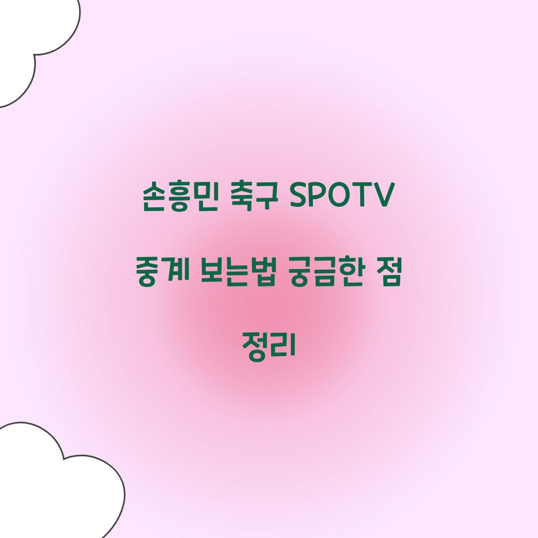 손흥민 축구 SPOTV 중계 보는법