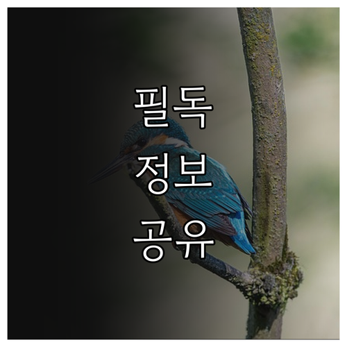 새출발 2025 화순군 전입 지원금 ..