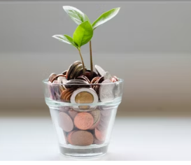 연금저축 세액공제 기부금 세액공제 결혼 세액공제