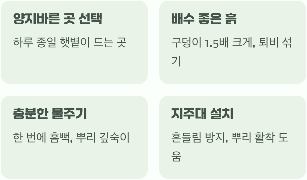 심는 것보다 중요한, '어떻게 심느냐'