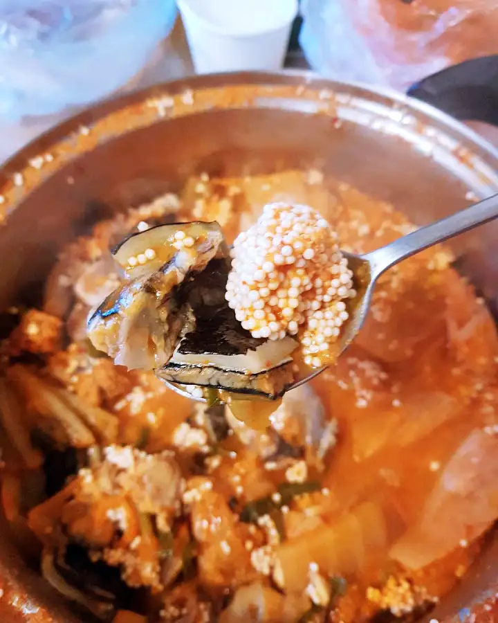 속초 고성 오호항 가게 도치알찜 지금이 딱 도치알탕 선장님 직영 오션 바다 뷰 제철 심퉁이 도치 초무침 맛집 추천