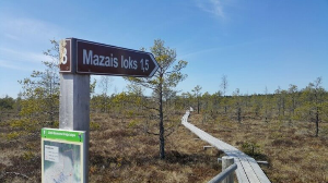 체메르늪지대 지도