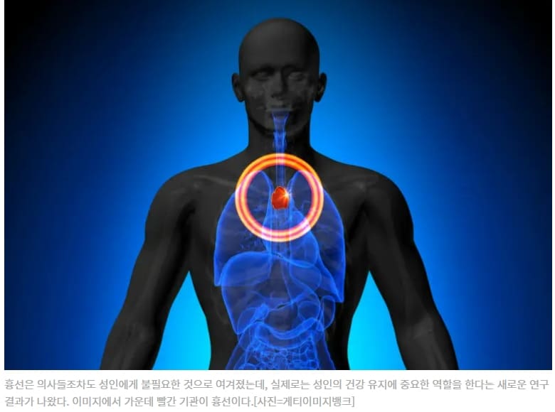 우리가 모르는 암 막아주는 장기 Not Just a “Disposable” Organ: Your Thymus May Be Saving Your Life
