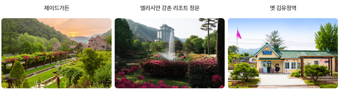 금요일 코스