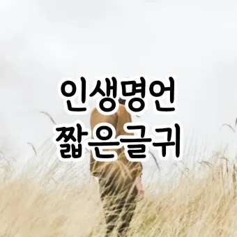 인기 많은 인생 명언 짧은글 100선_9