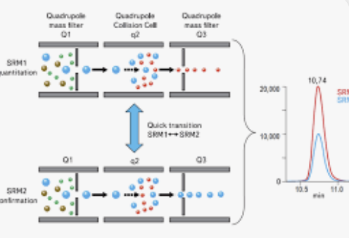 Multi-Quantifier Ion을 활용한 정량 정확도 향상 전략