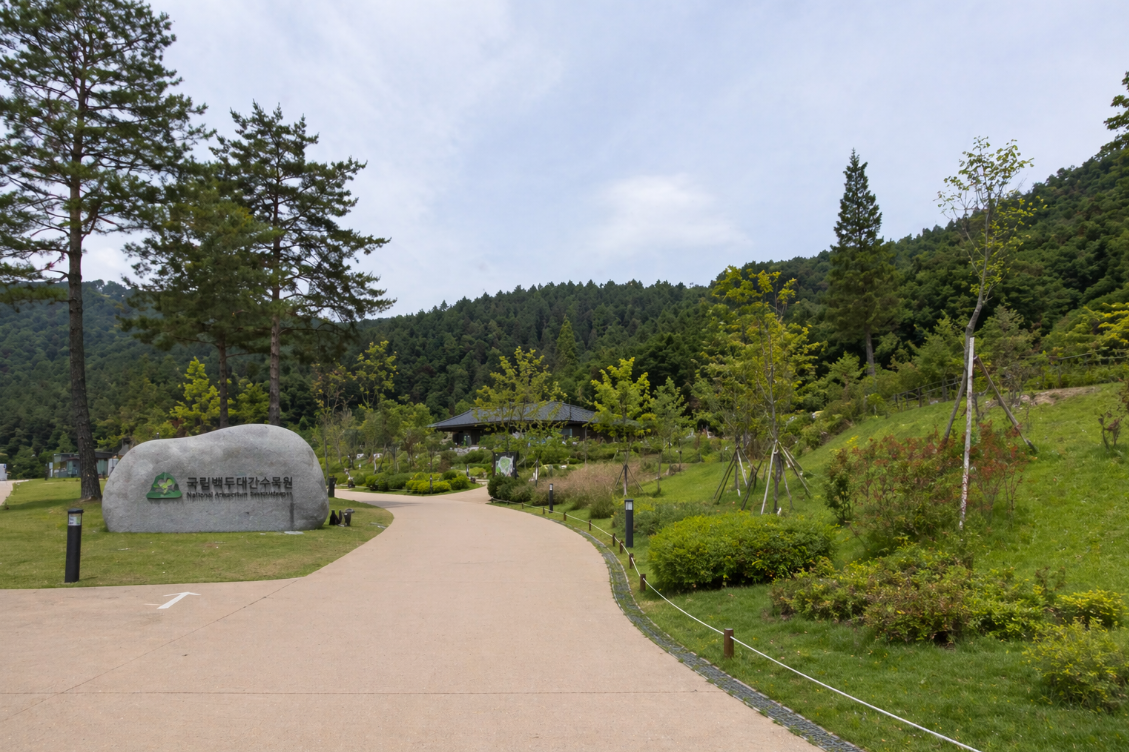 국립백두대간수목원의 넓은 산책길과 숲, 열린 녹지 공간이 함께 보이는 모습