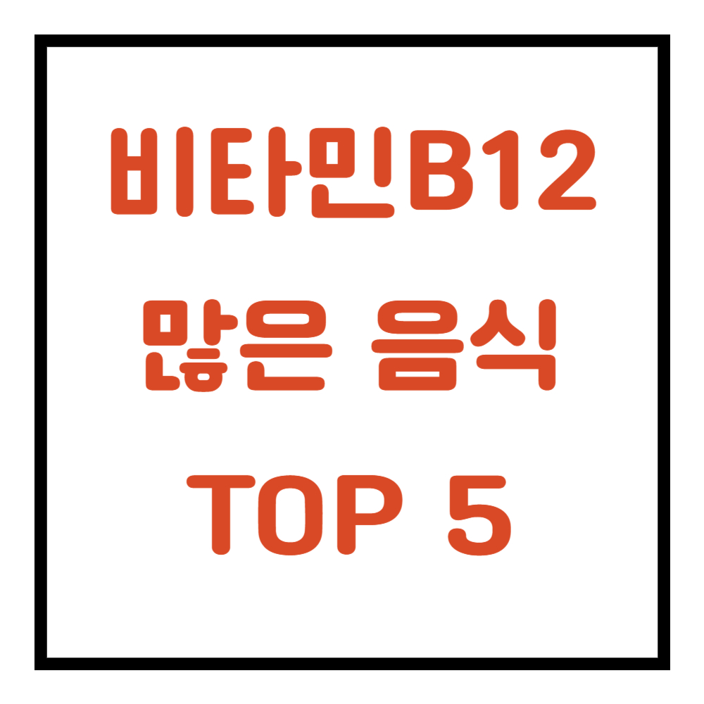 비타민B12가 많은 음식