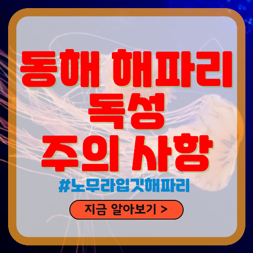 동해 해파리 독성 및 주의사항