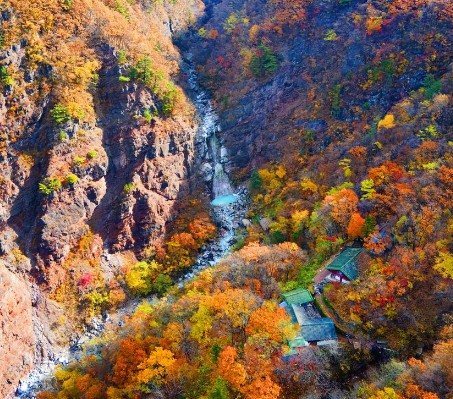 삼척 가볼만한곳