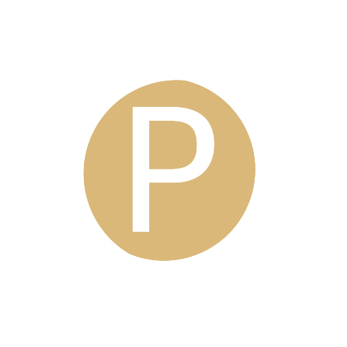 카카오페이 주가전망 및 거래정지