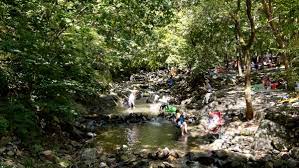 보령 가볼 만한 곳