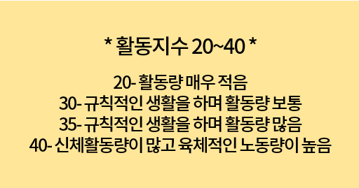 여자 다이어트 식단 칼로리