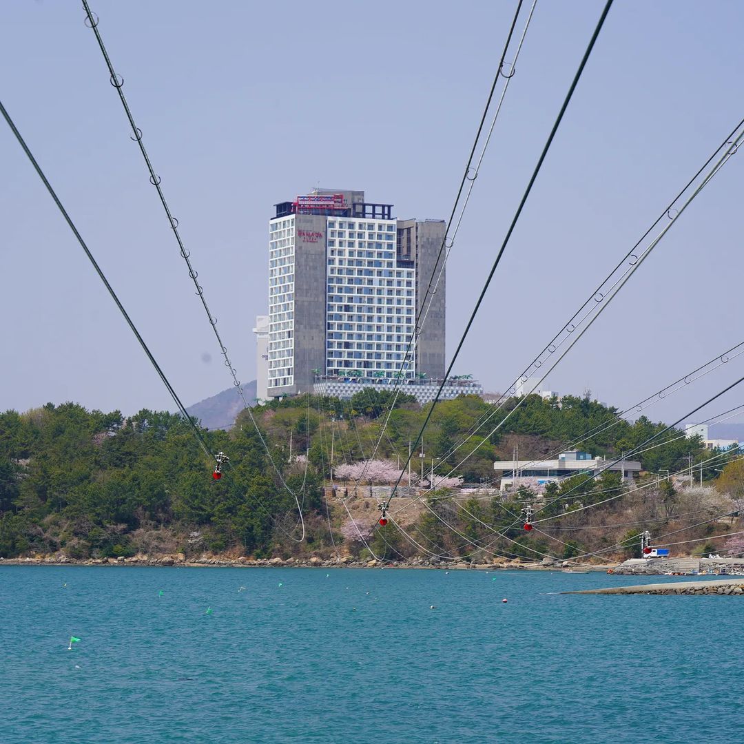 어서와 한국은 처음이지 여수 여행 코스 시속 80km 호텔 옥상 위 짚라인 짚트랙 체험 가볼만한 곳 추천 가격 & 위치 독일 3인방