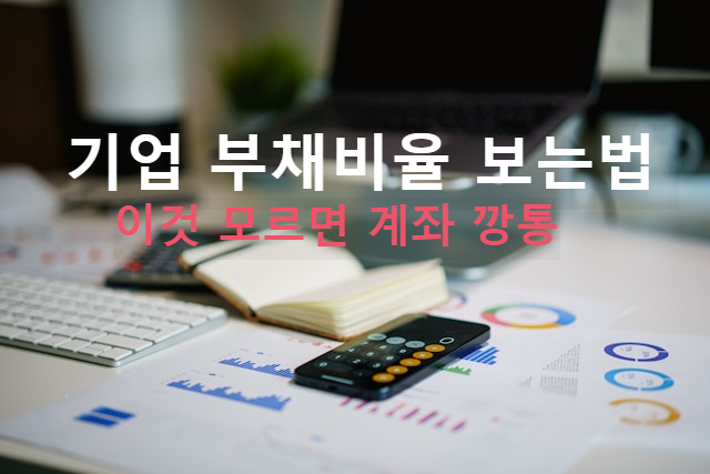 기업 부채비율 보는 법