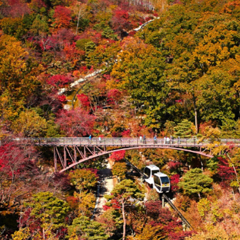 화담숲