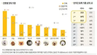 반려견 이름 작명 독특한 강아지 이름 제안_9