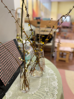 아이들의 오감을 깨우는 봄꽃 탐색 놀이