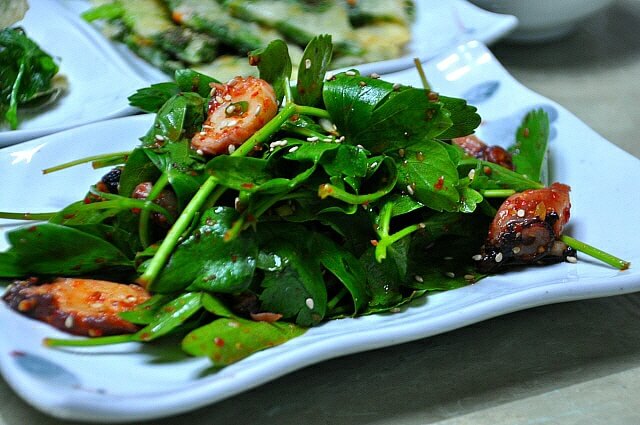 봄나물 종류와 효능 BEST6