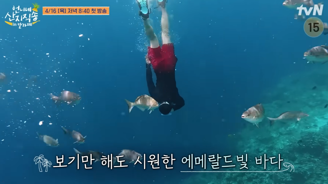 언니네 산지직송3