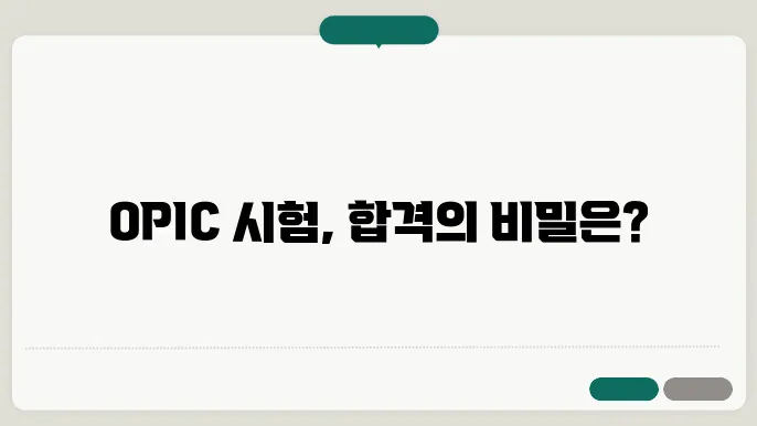 opic 시험 중요성
