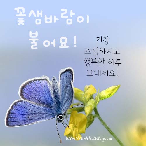 꽃샘바람-불어오는